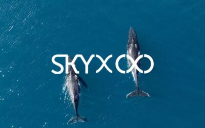 When Sky Meets Sea: Drone Technology for Protecting Marine Life and Ecosystems